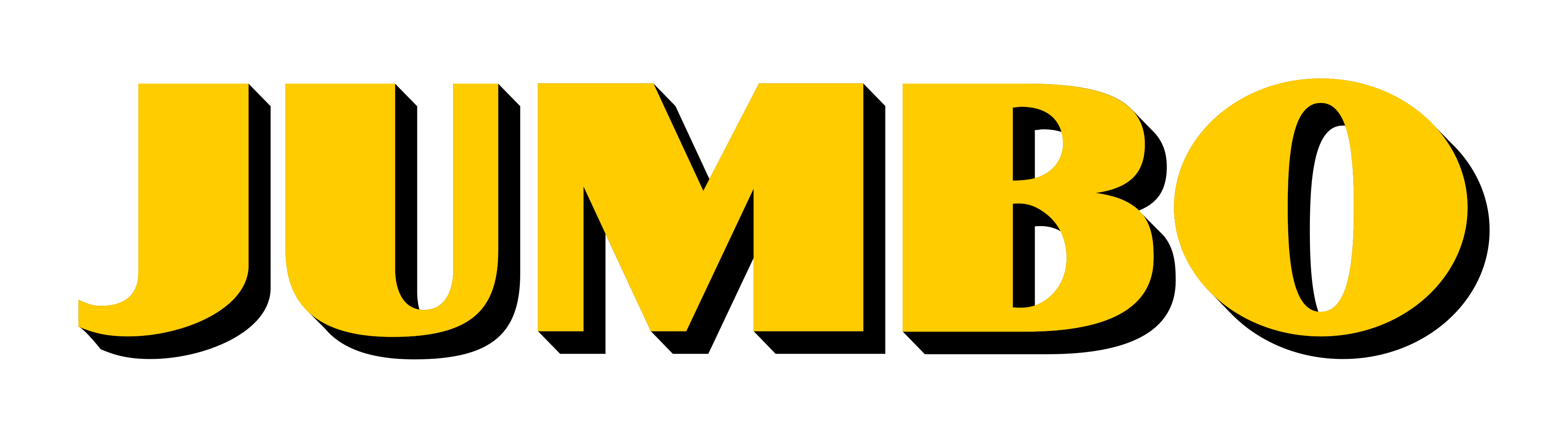 Partner Logo 21